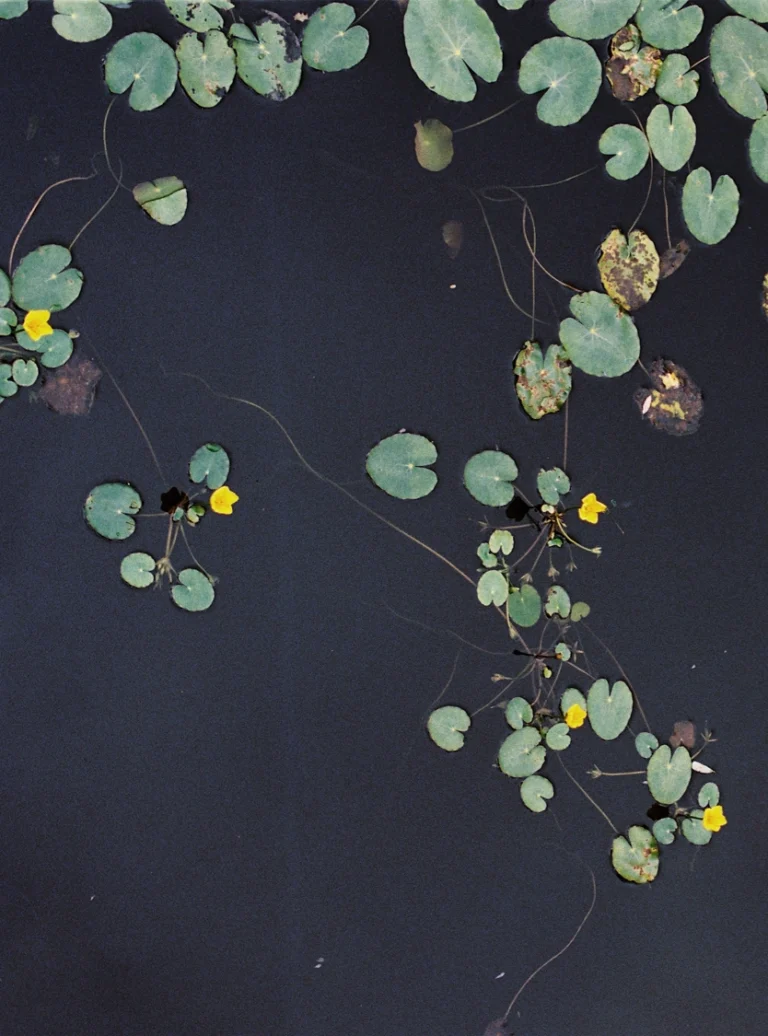 Leid im Kinderwunsch (Teil 1) 